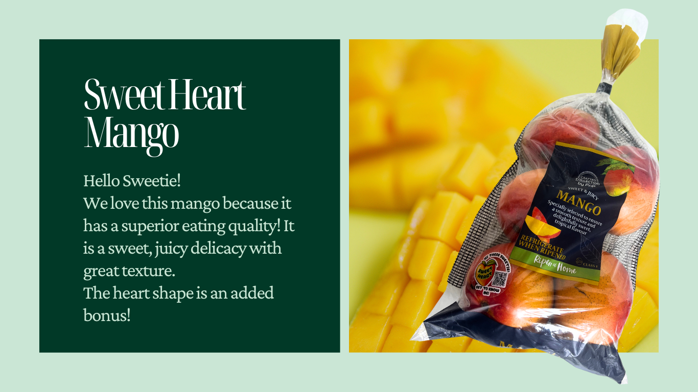 Product Catalog Website in Emerald Mint Green Black and White Aspirational Elegance Style-2